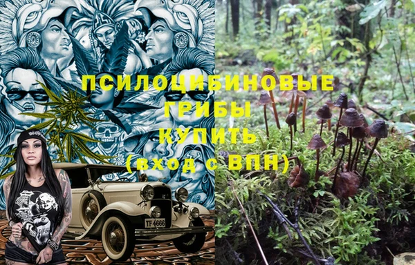 а пвп мука Белокуриха