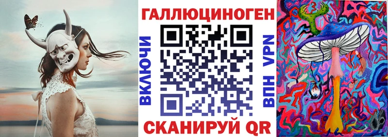 Псилоцибиновые грибы Psilocybe  что такое   Верхнеуральск 